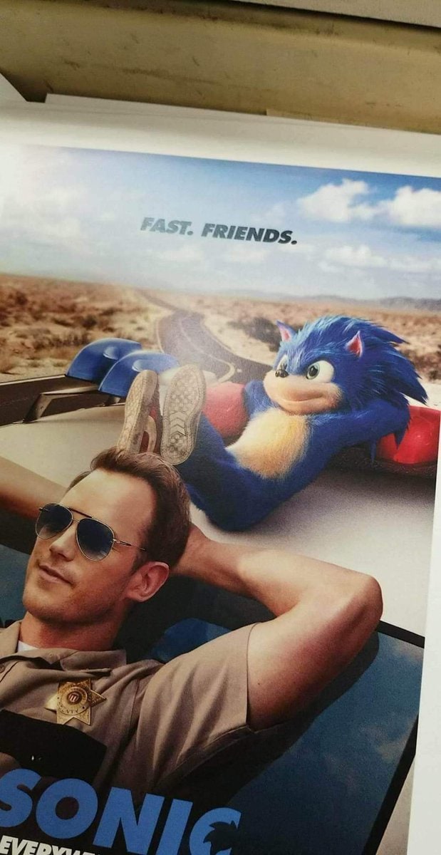 New Sonic Movie Poster  Sonic the movie, Hedgehog movie, Sonic